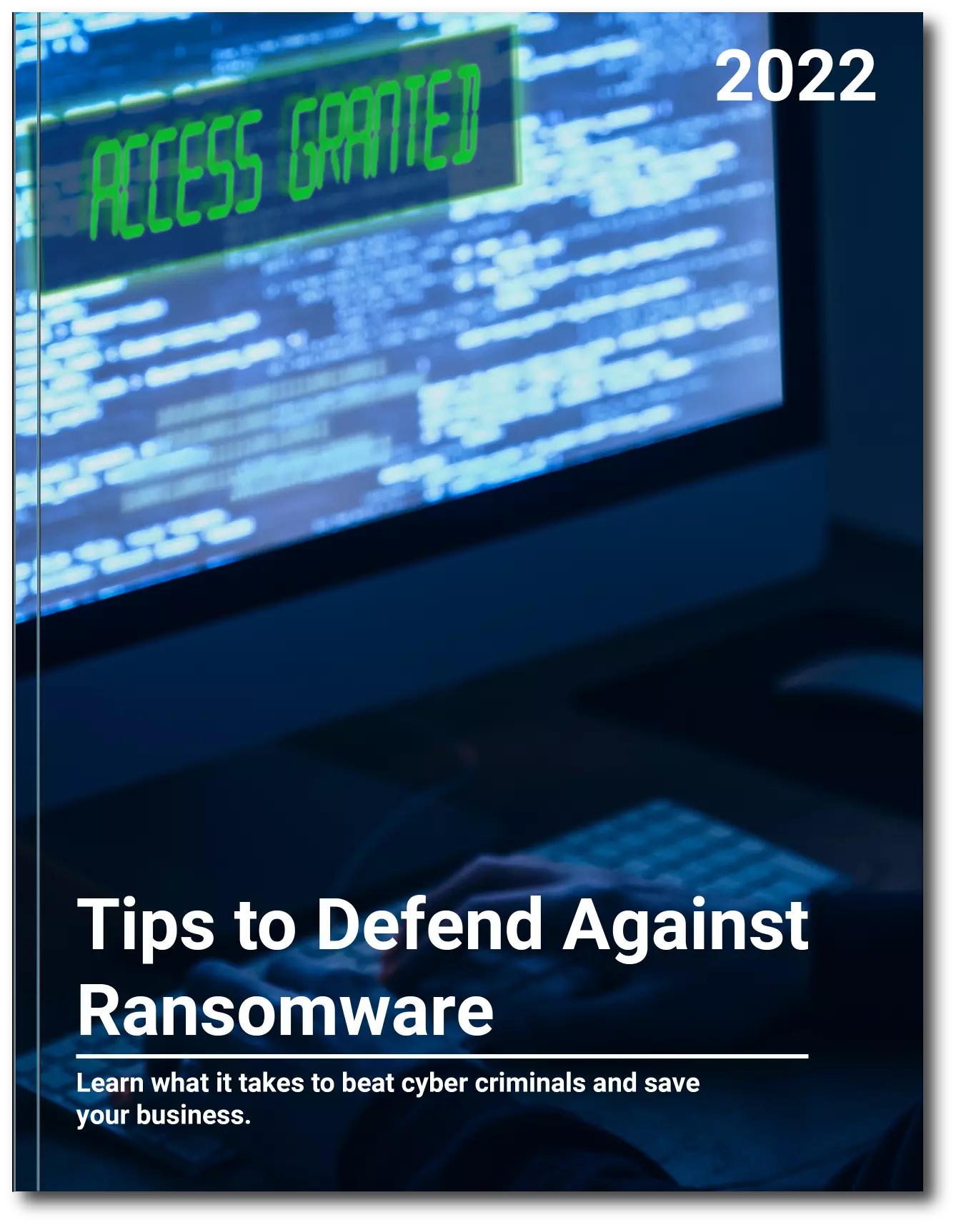 ransomware e-book